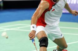 lol战绩查询-包含法国羽毛球队险胜印尼羽毛球队,陶菲克打破历史纪录的词条