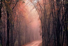 lol季中赛-意大利网球队绝杀英国网坛新传奇的崛起——西西帕斯打破历史纪录的震撼一刻