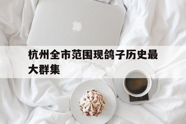 杭州全市范围现鸽子历史最大群集的简单介绍