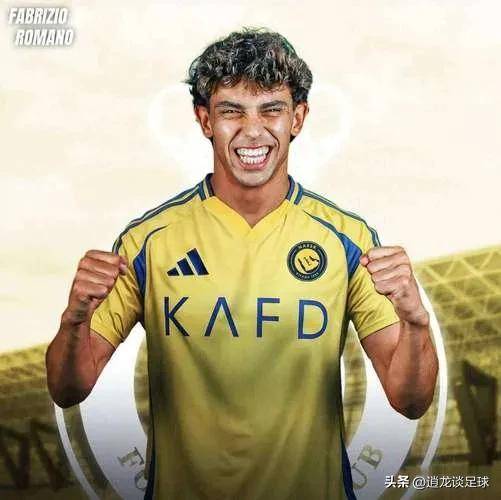 葡萄牙国脚独中两元,带领球队晋级顺利 葡萄牙国脚独中两元,带领球队晋级顺利